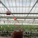 연곡농장 이미지