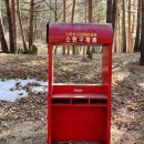 힐링산책코스 | 강릉 노추산 모정탑길 힐링 산책 후기 (움막 코스)