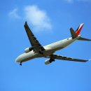 고용주 행정사 이미지