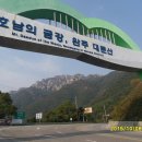 육미관 고기타운