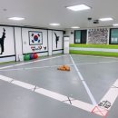 국가대표 NO.1 태권도장 이미지