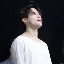 콜데이
