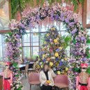 김포카 | 🌸 김포대형카페 카페드첼시, 내돈내산 애프터눈티 후기