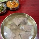 사대부 | 대구 동성로 곰탕 맛집 사대부암소곰탕 교동 국밥 맛집 솔직후기