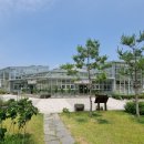 로드매너저 네이버블로그