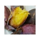 호꿀이네 이미지