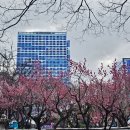 경상감영공원 이미지