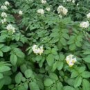 학장중학교 이미지