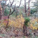 동해시-46 이미지