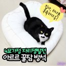 득템의순간 | 아르르 꿀잠방석, 동원몰 앱으로 저렴하게 득템한 후기!