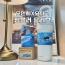 [후기] 오덴세X요시고 텀블러 슬리브 3종🩵 여름바다에 풍덩💦