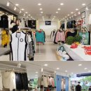 트렌드갤러리