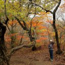 설악산(한계령 ~끝청 ~중청 ~대청~오색) 17.10,8 이미지