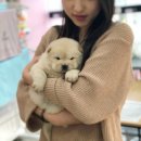 개밥그릇 이미지