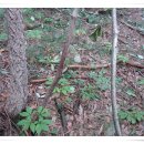 한서농장 이미지