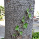 노리울지역아동센터 이미지