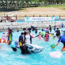 사천리물놀이장 이미지