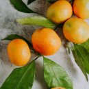 라이브짐 목동점 이미지