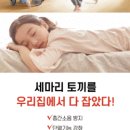 주식회사 온오늘 이미지