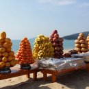 완도20호 이미지