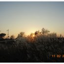 매향리 평화생태공원 이미지