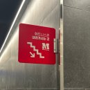 KGYM | 해머스트렝스인증센터 휘트니스엠 강남구청점 체험후기 (PT후기, 트레이너추천, 운동시설, 가격, 장단점)