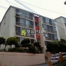 사하구 두송로 Daum카페