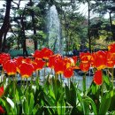 솔밭근린공원 이미지