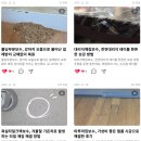 하나네수선 | 장판수선, 자투리 장판으로 구사일생 바닥 보수 후기