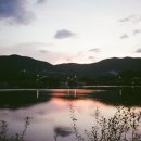 숲속의안뜰 이미지