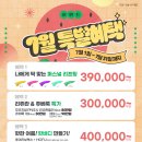 와이솔루션