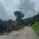 샛골농장 이미지