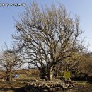 주천면 내용궁마을 이미지