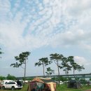 CU목계점 | 충주 목계솔밭 캠핑 Real!!솔직후기