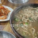 양성도토리칼국수