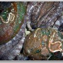 벧엘민박 이미지