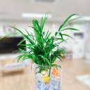 꿈길유치원 이미지