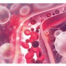 핏피티(Fit PT) 이미지