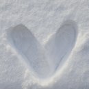 [1.9.] 아이슬란드에서 백숙 끓여 먹기.