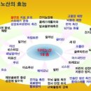 모링가 이미지