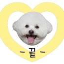 ICHEON100 이미지