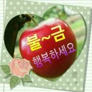 코&태