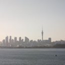 슈가(SUGAR) 이미지