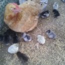 골짜기농장 이미지