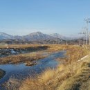 금강철새로마트 이미지