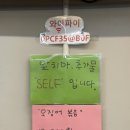돈화문 | 평택 고덕 백반 [돈화문식당] 수육정식 후기
