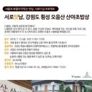 산야초상회