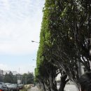 평화공원(내부) 이미지