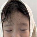 태하
