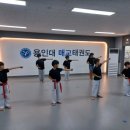 용인대 세심 태권도장 이미지